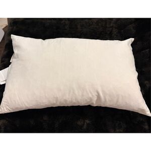 Pottery Barn  Pillow With Feather/Down goose standard